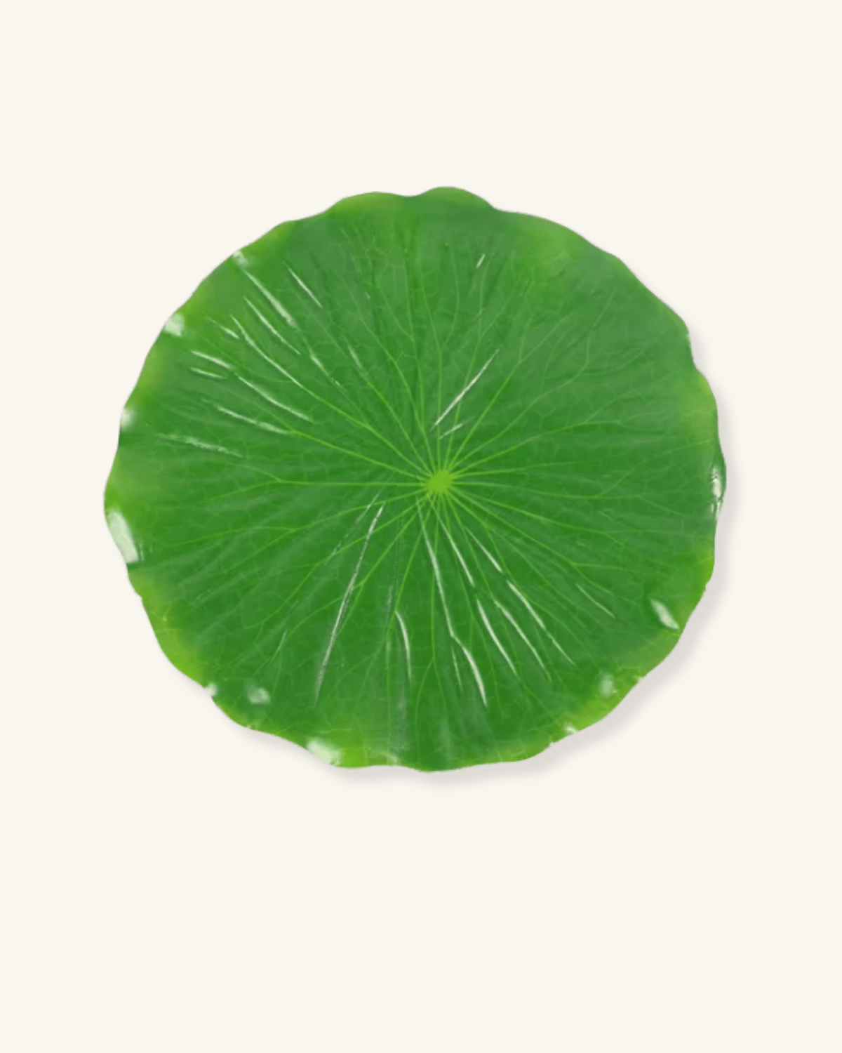 Feuille set de table