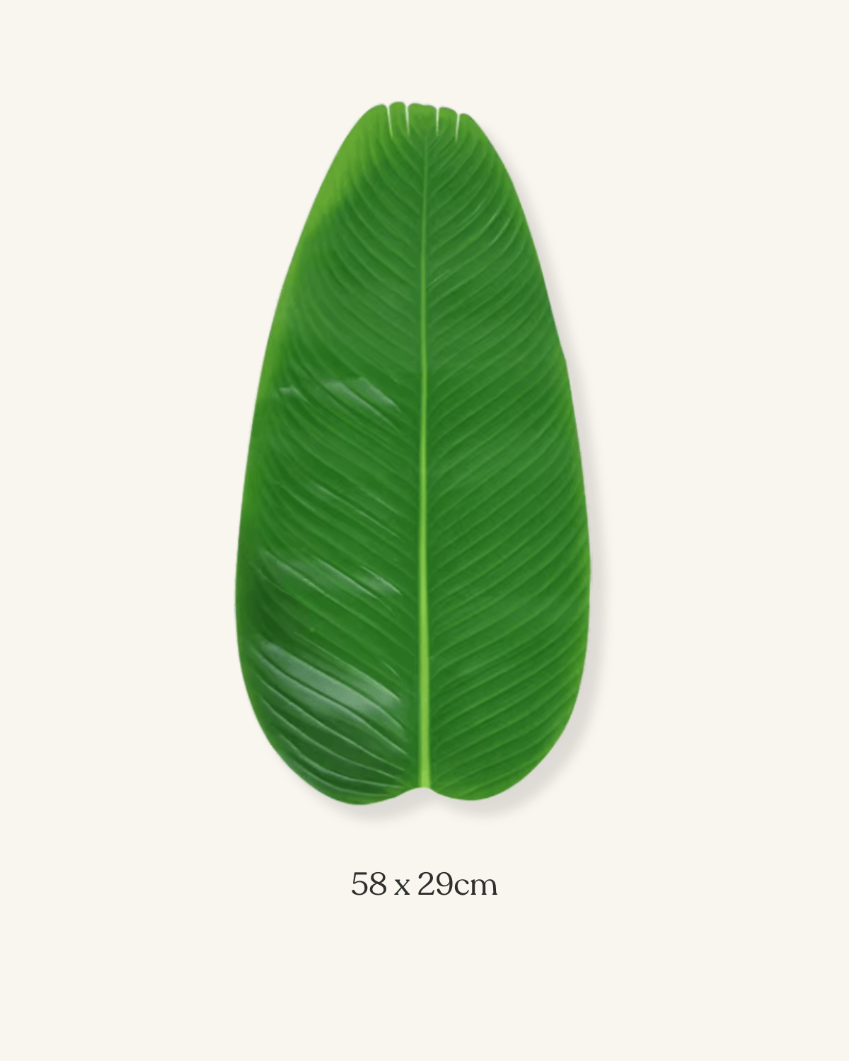 Feuille set de table