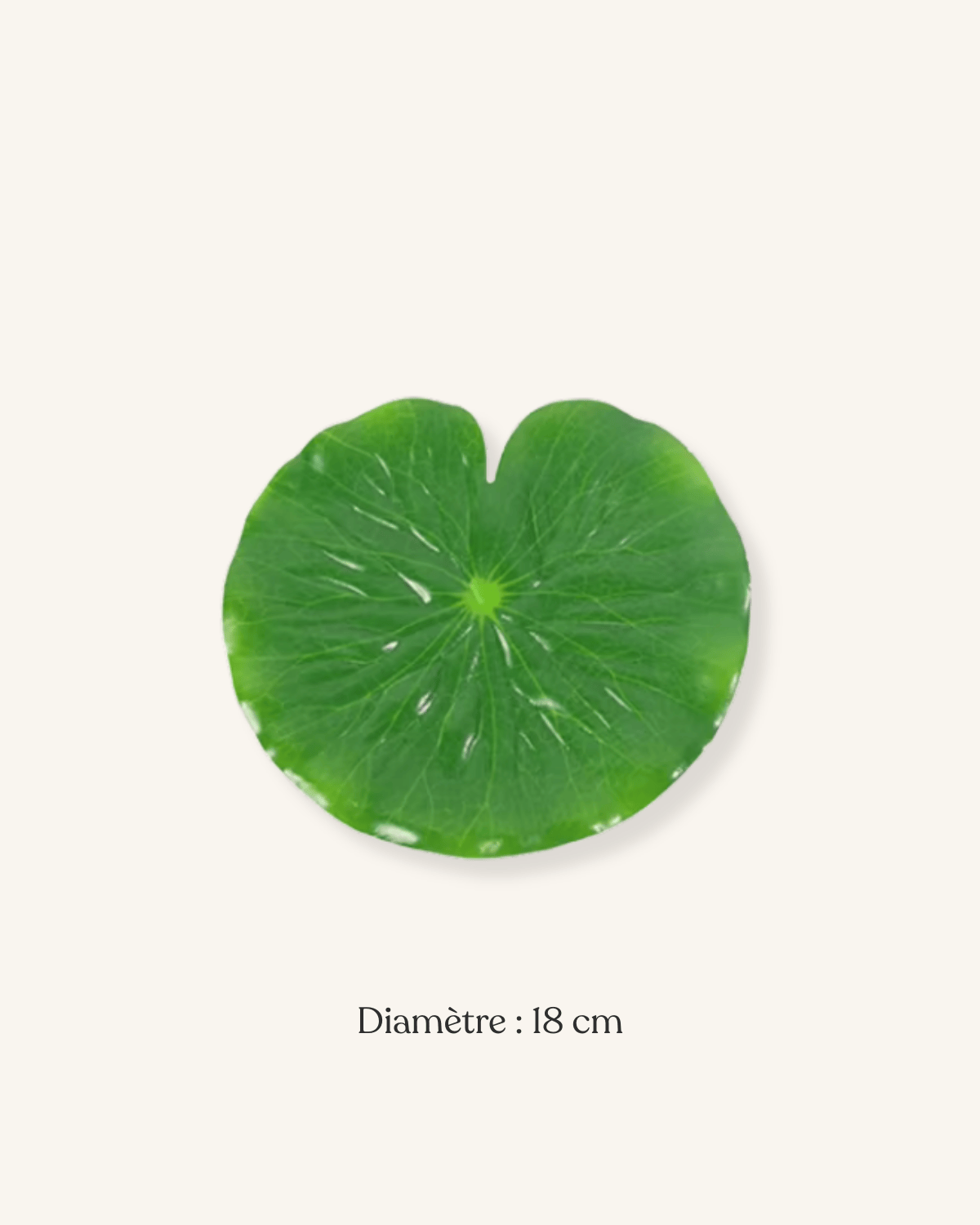 Feuille set de table