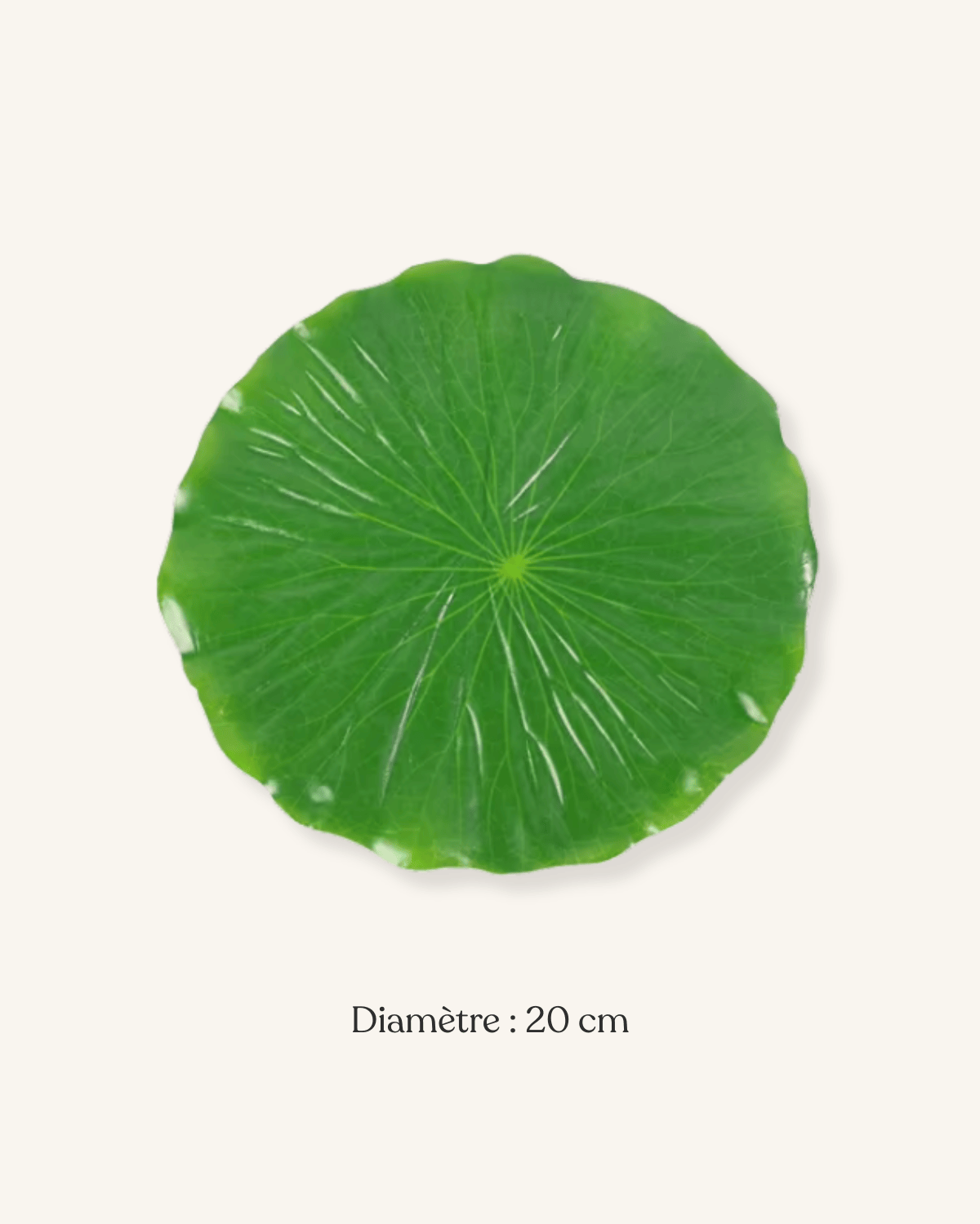 Feuille set de table