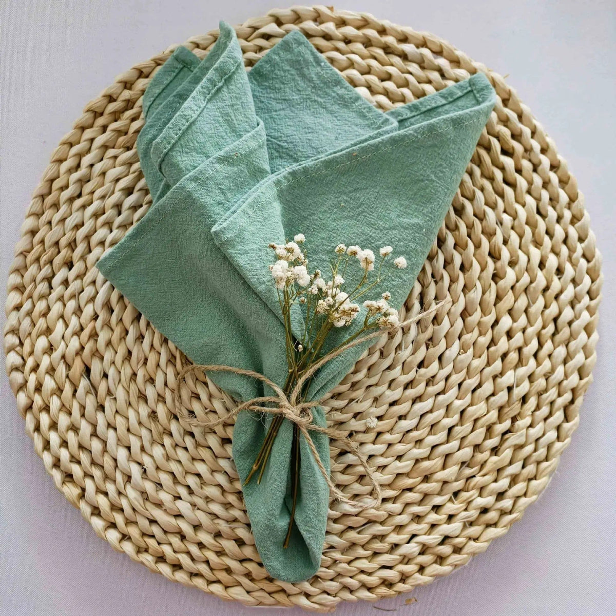 Lot de 4 Serviettes de Table en Coton