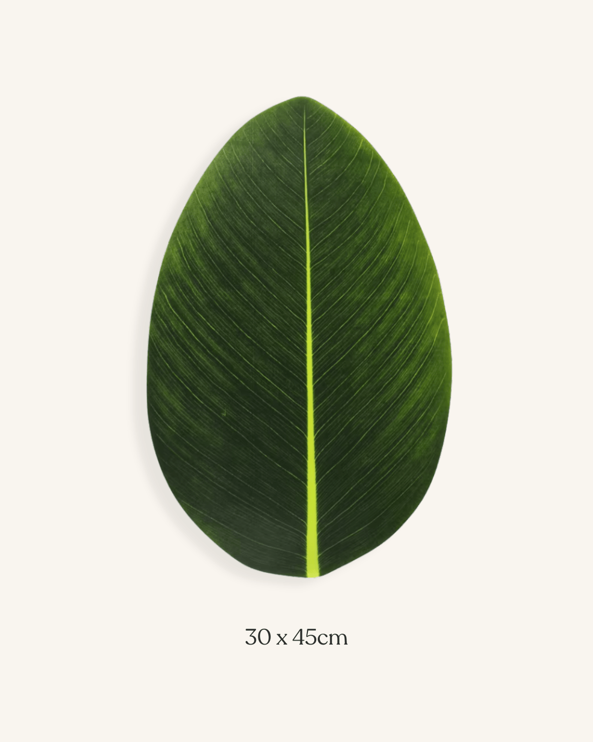 set de table feuillage