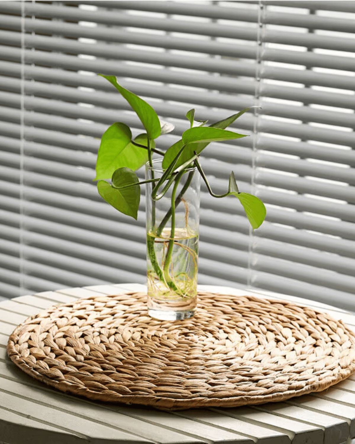 Set de table rond osier